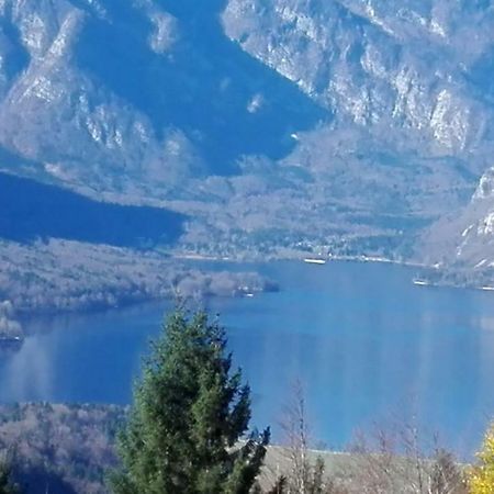 Apartmaji Korosec Na Koprivniku Appartement Koprivnik v Bohinju Buitenkant foto
